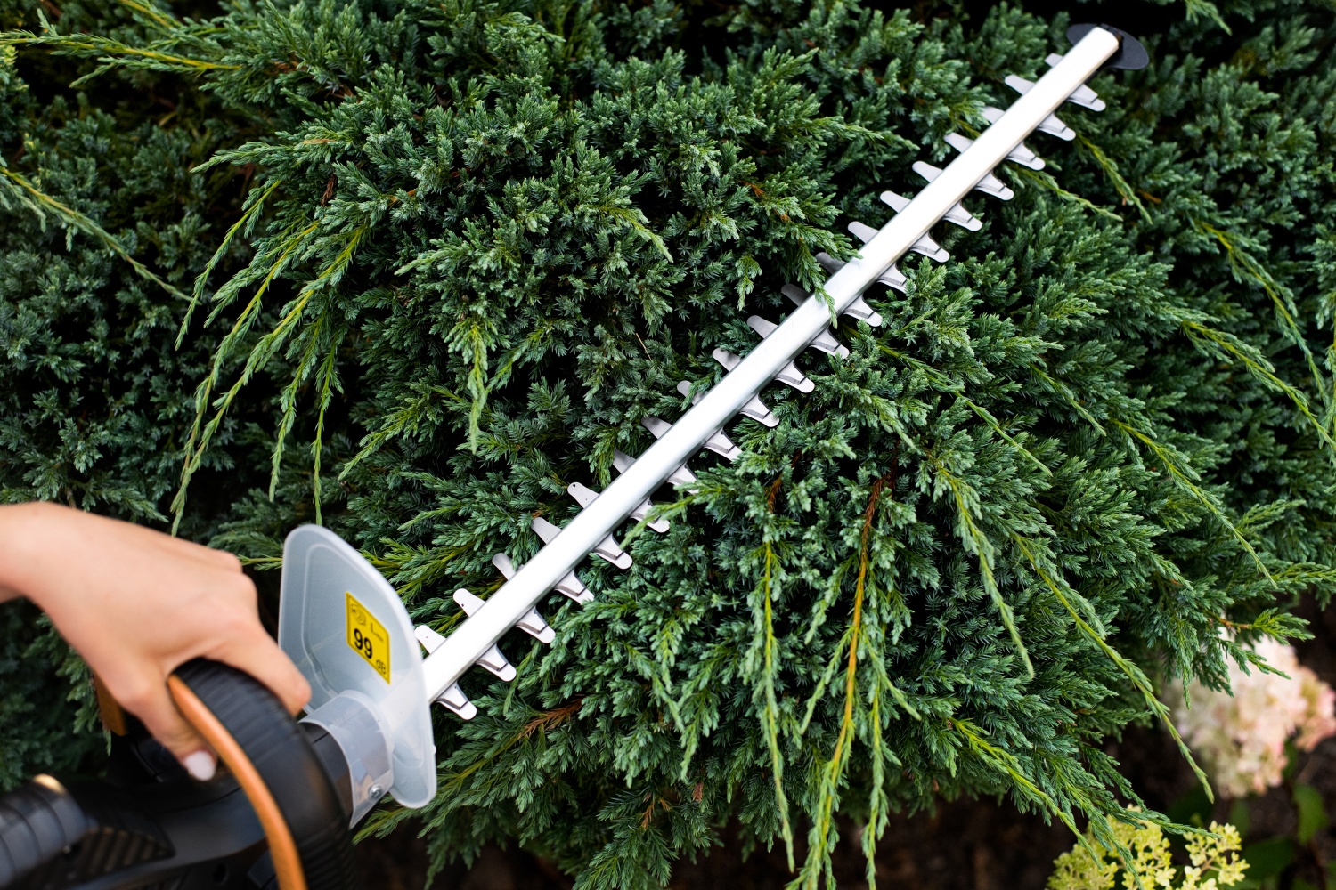 Elektryczne nożyce do żywopłotu 61 cm 620W Adler 6814