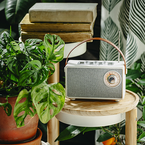 Głośnik Bluetooth z radiem FM i USB-C Camry 1902