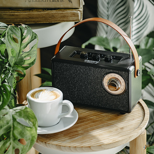 Głośnik Bluetooth z radiem FM AUX TWS USB-C Camry 1902