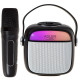 Głośnik do karaoke z mikrofonem - SD/USB/AUX/Bluetooth Adler AD 1199b