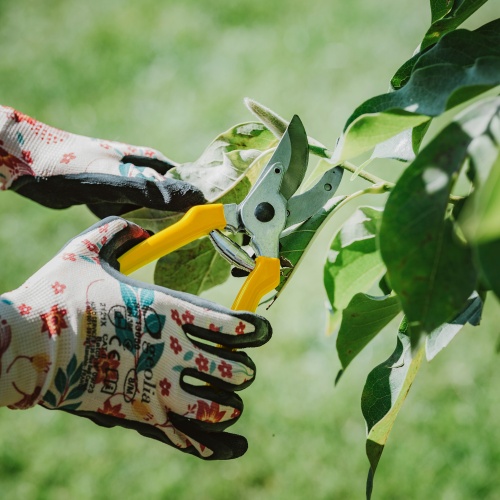 Zestaw sekatorów 3-częściowy do kwiatów i gałęzi Adler 6808