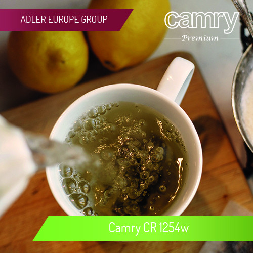 Czajnik elektryczny 1,7L biały z automatycznym wyłączaniem Camry 1254